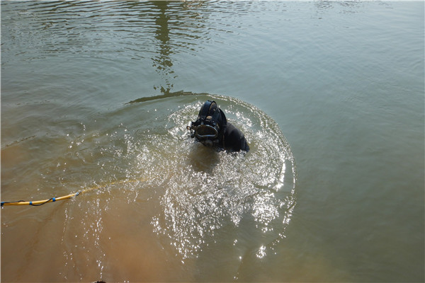 DSCN3758.jpg